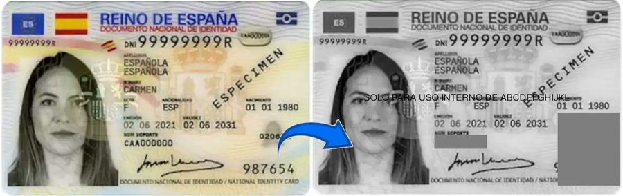 Example of a redacted DNI